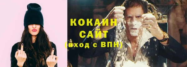 СК Бронницы