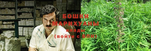 стаф Богородск