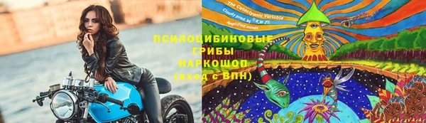 СК Бронницы