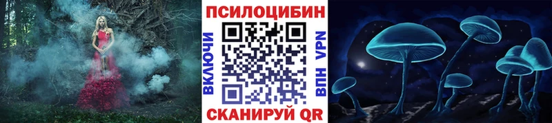 Купить закладки  Гаджиево  Псилоцибиновые грибы Psilocybe 