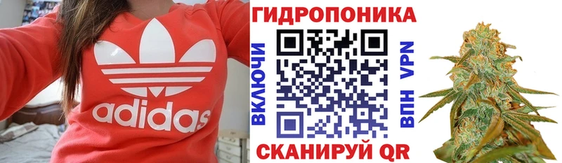 Купить где  Гаджиево  МАРИХУАНА OG Kush 